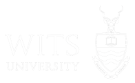 Wits Logo
